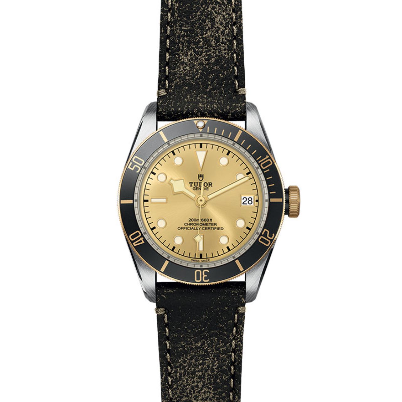 Tudor Black Bay S&G M79733N-0003 Front image number 1