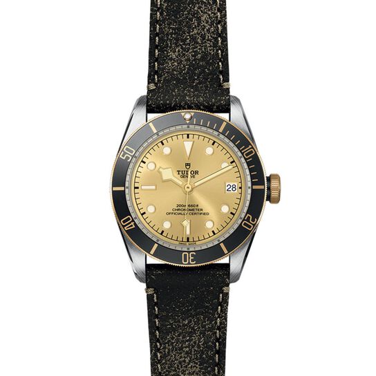 Tudor Black Bay S&G M79733N-0003 Front image number 1