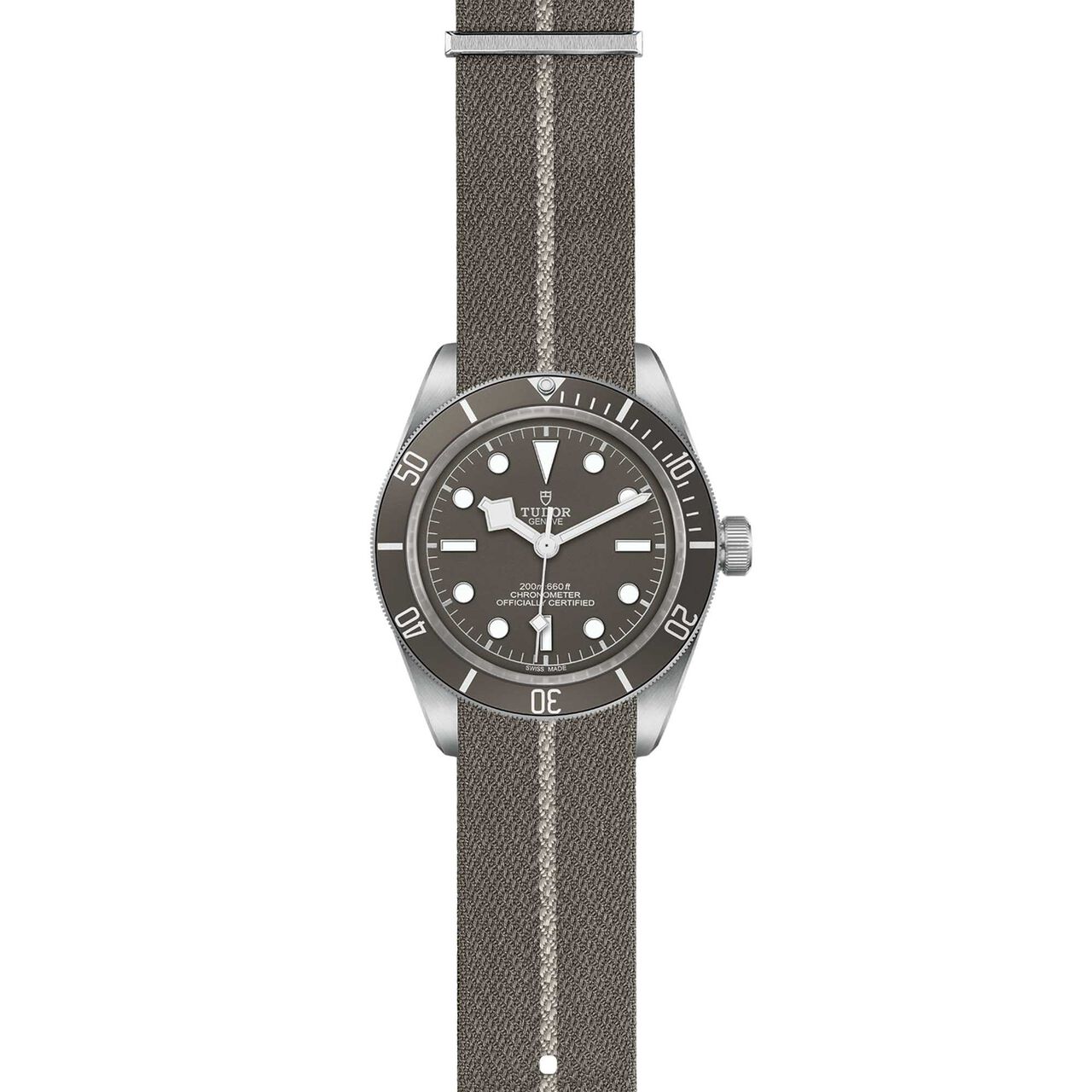Tudor Black Bay Fifty-Eight 925 39MM Silver Case image number 1