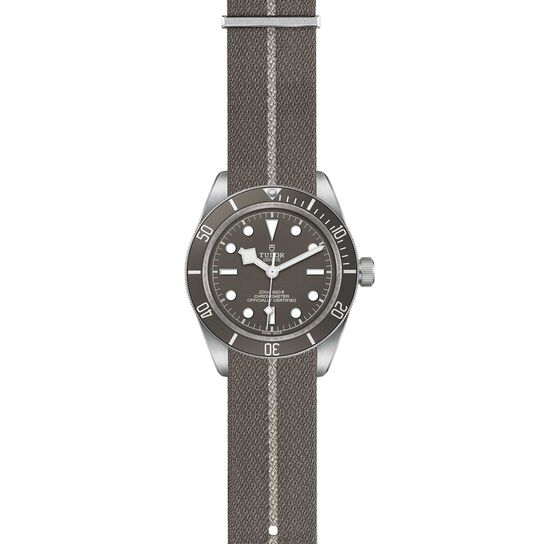 Tudor Black Bay Fifty-Eight 925 39MM Silver Case image number 1