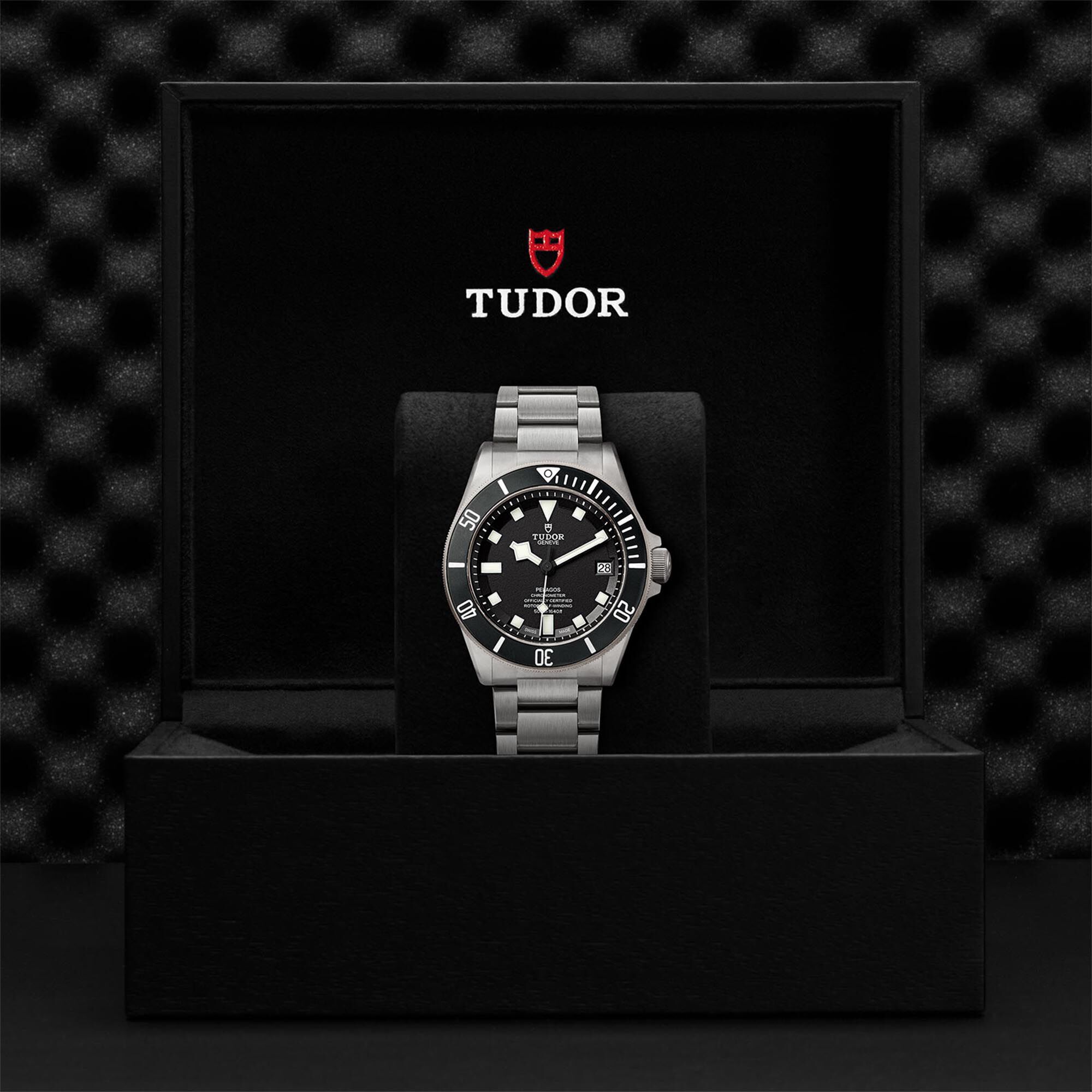 Tudor Pelagos M25600TN 0001 Maison Birks