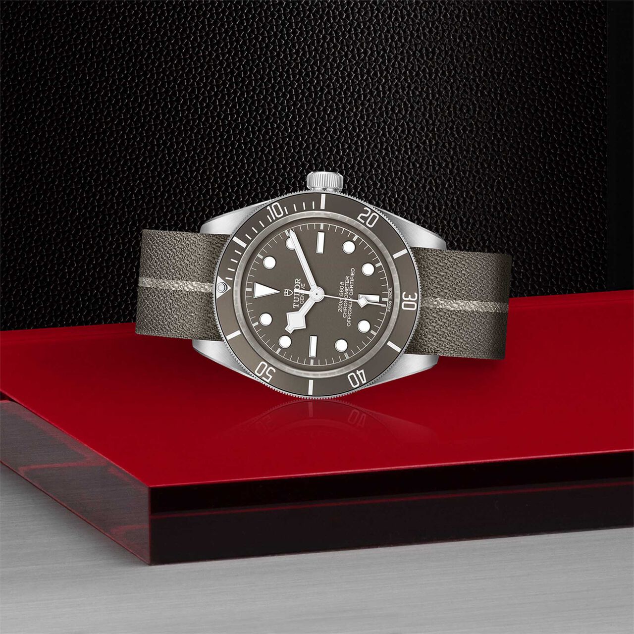 Tudor Black Bay Fifty-Eight 925 39MM Silver Case image number 3
