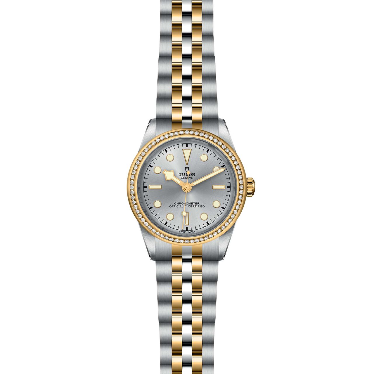 Tudor Black Bay 39 S&G M79673-0002 image number 1