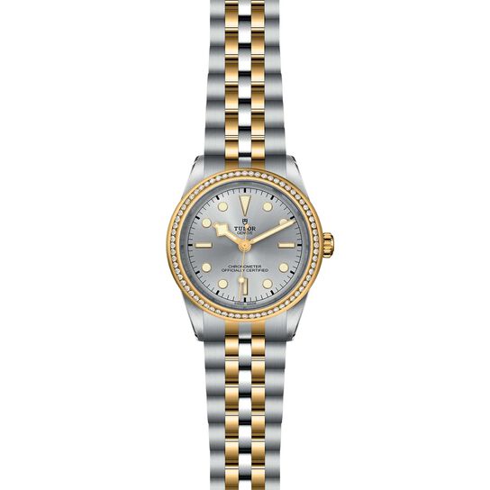 Tudor Black Bay 39 S&G M79673-0002 image number 1