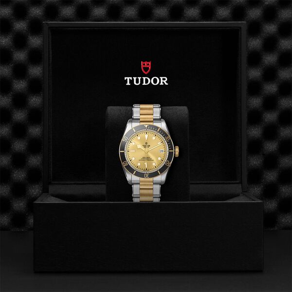 Black Bay Automatic 41 mm Yellow Gold and Stainless Steel
