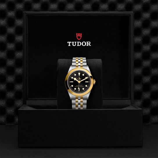 Tudor Black Bay 39 S&G M79663-0001 image number 4