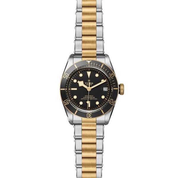 Black Bay Automatic 41 mm Yellow Gold and Stainless Steel