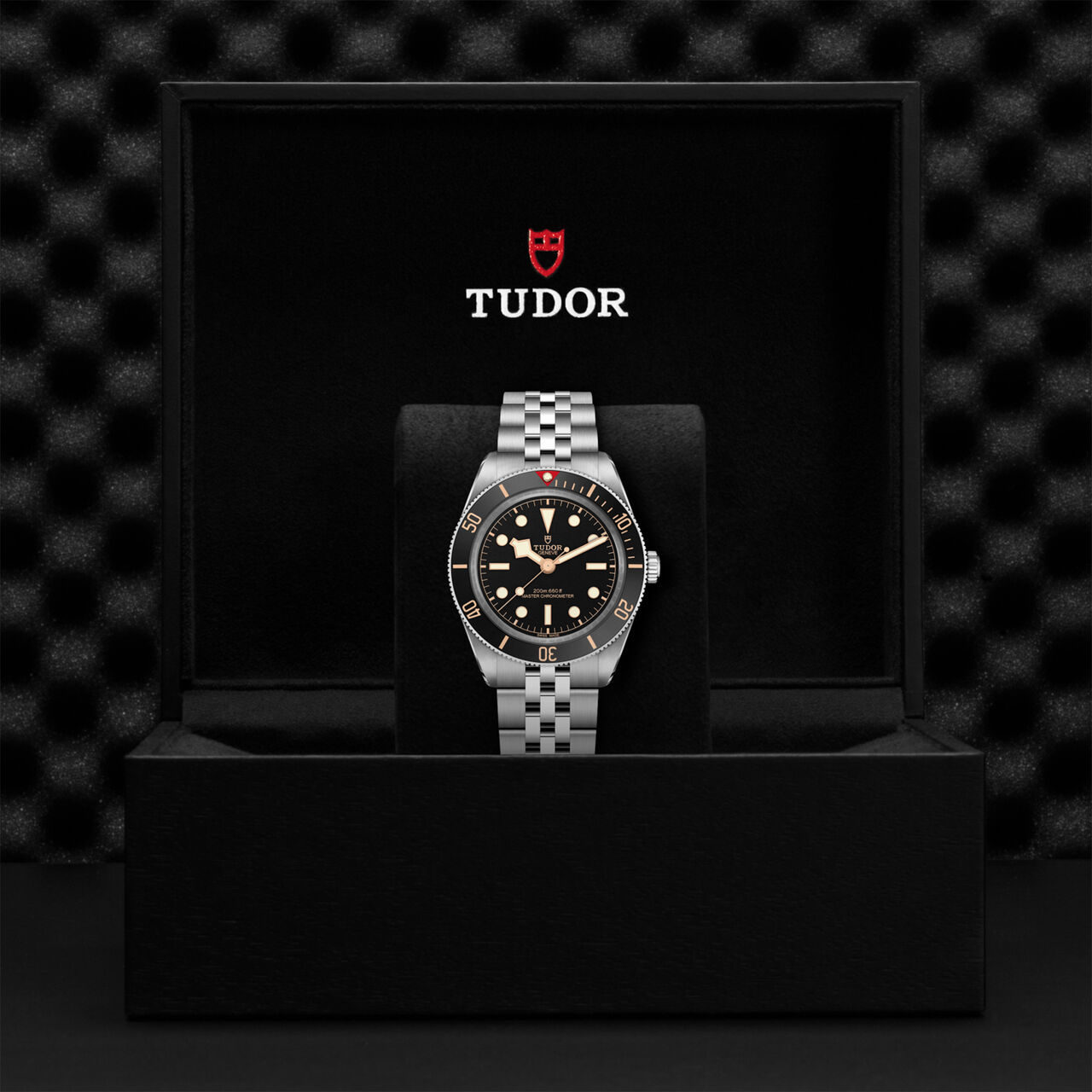 TUDOR Black Bay 58 Automatic 39 mm Stainless Steel image number 3