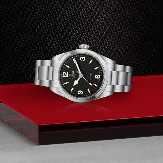 Tudor Ranger M79950-0001 Lay Down image number 3