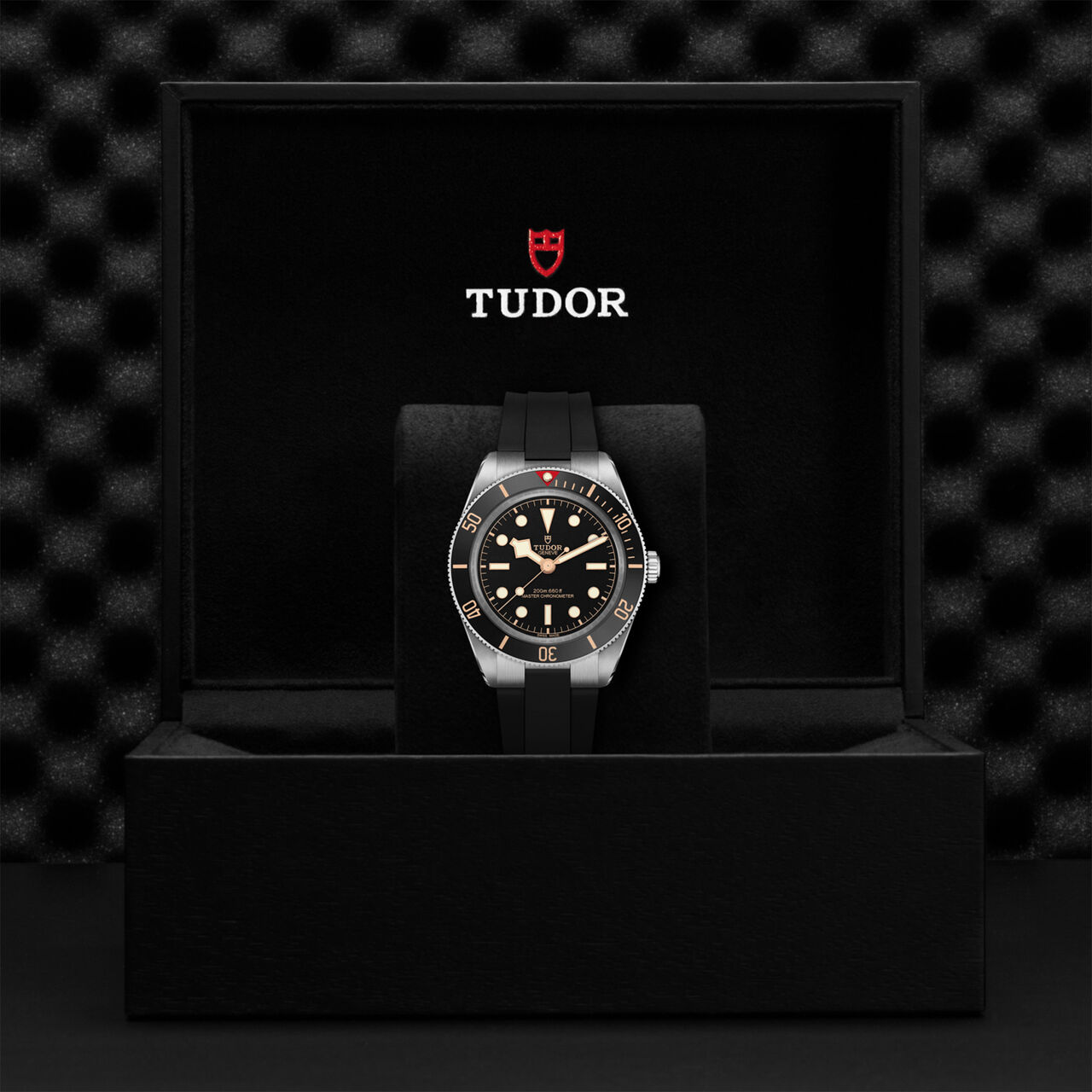 TUDOR Black Bay 58 Automatic 39 mm Stainless Steel image number 3