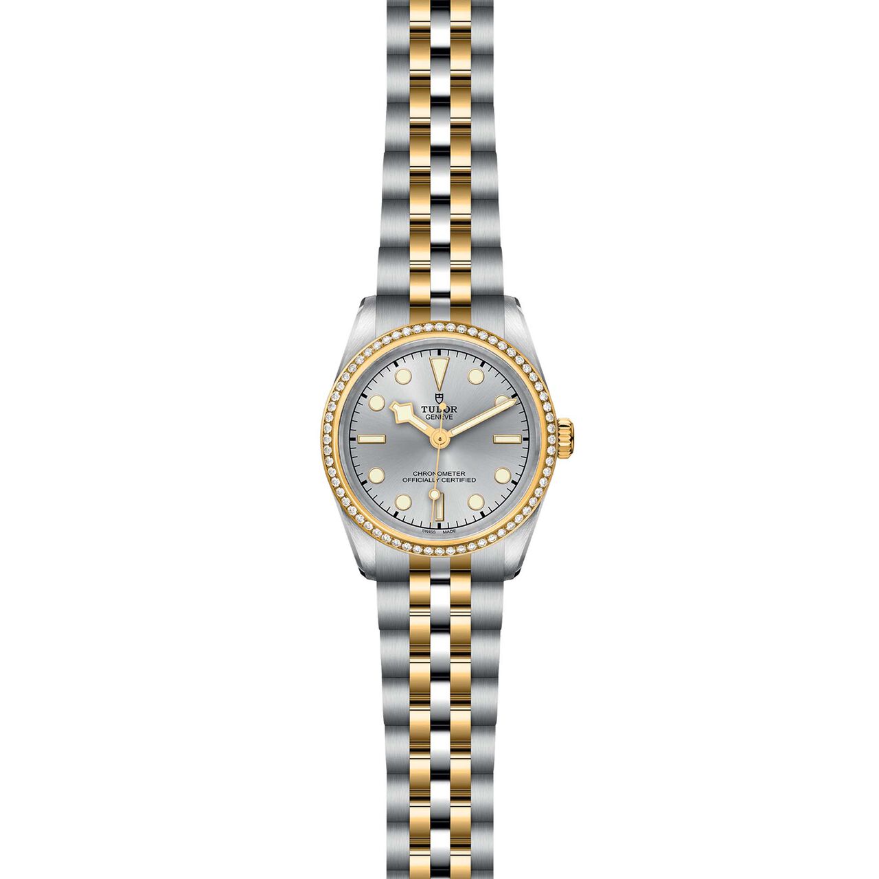 Tudor Black Bay 31 S&G M79613-0002 image number 1