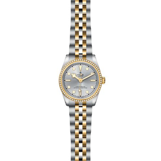 Tudor Black Bay 31 S&G M79613-0002 image number 1
