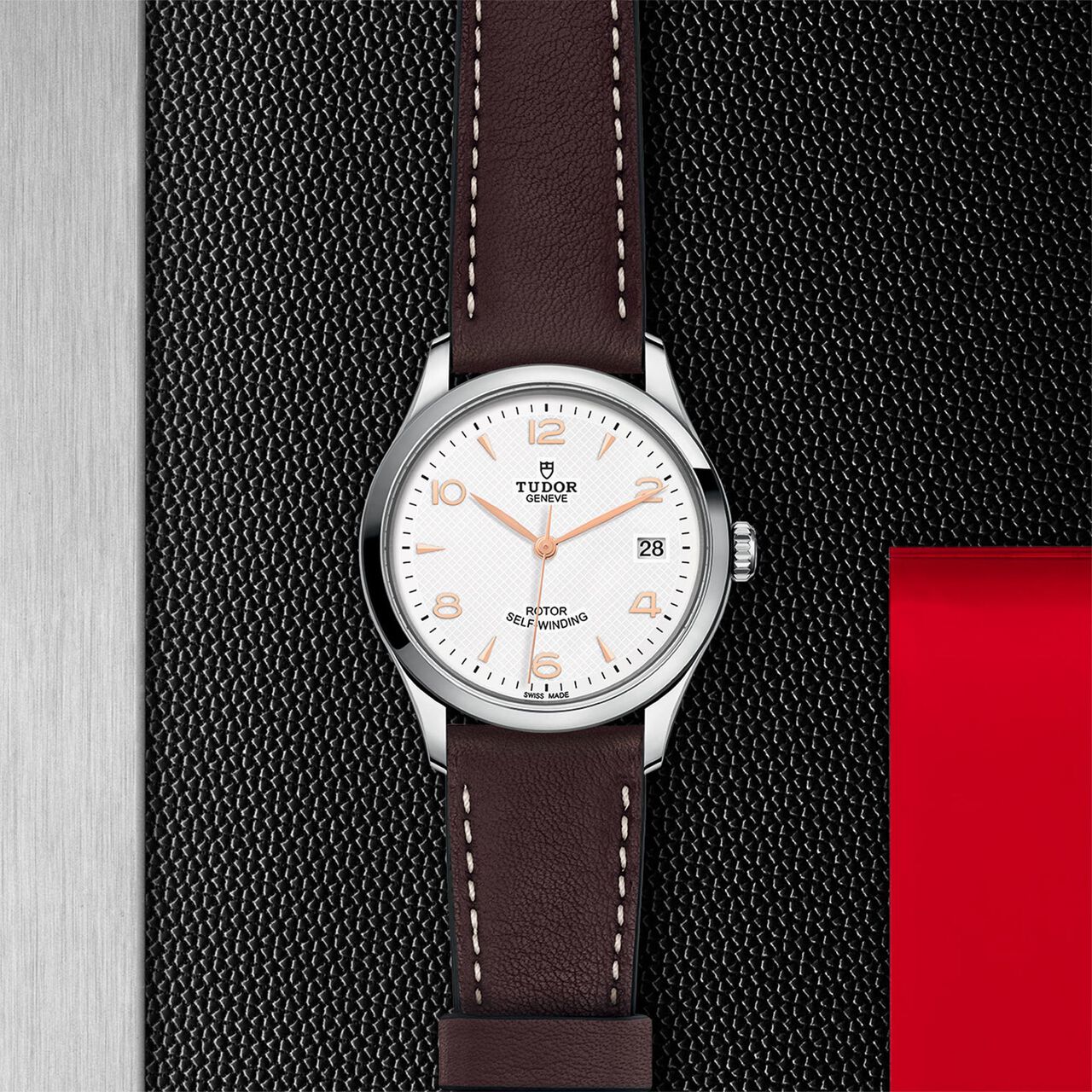  Light-Coloured Dial image number 2