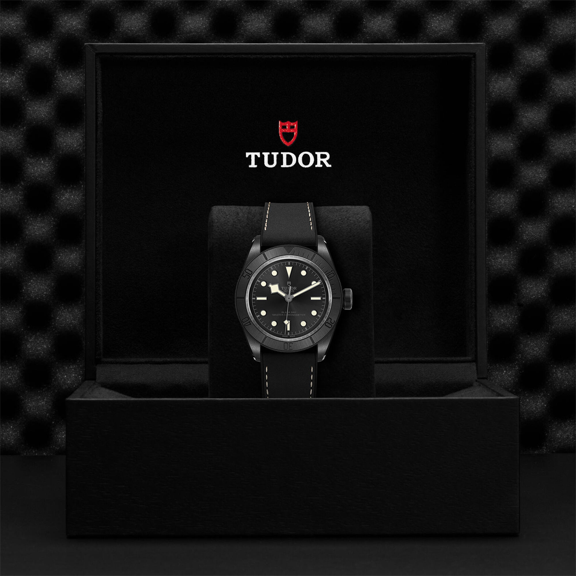 Tudor black deals bay 5