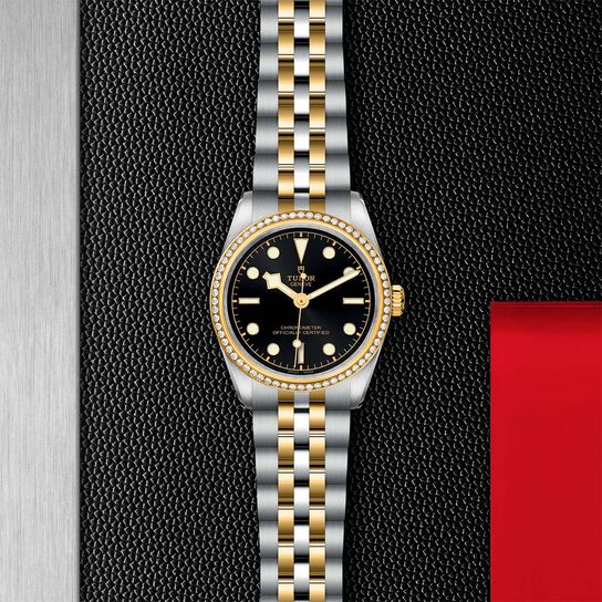 Tudor Black Bay 31 S&G M79613-0001 image number 2