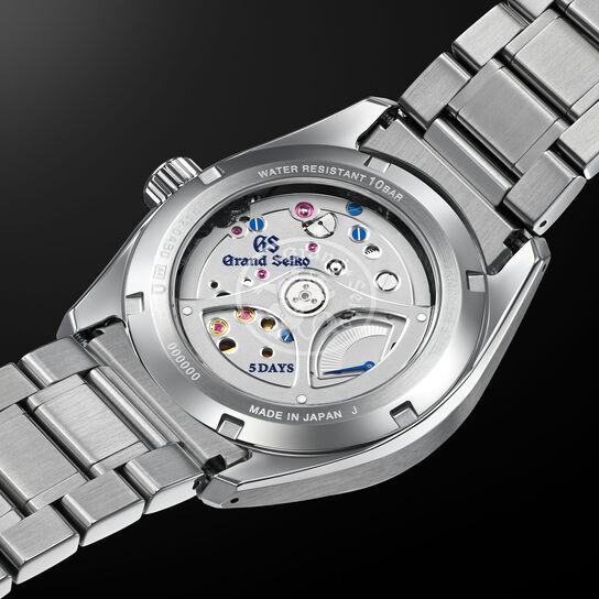 Grand Seiko Evolution 9 White Birch Spring Drive 40 mm Titanium image number 3