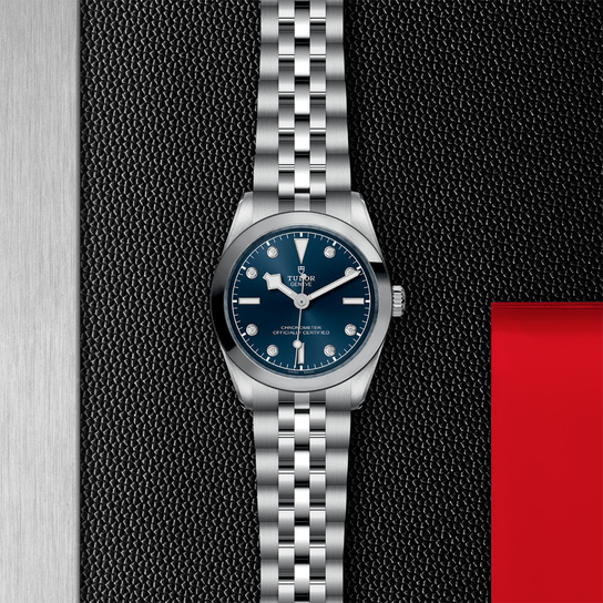 Tudor Black Bay 31 M79600-0005 Flat image number 2