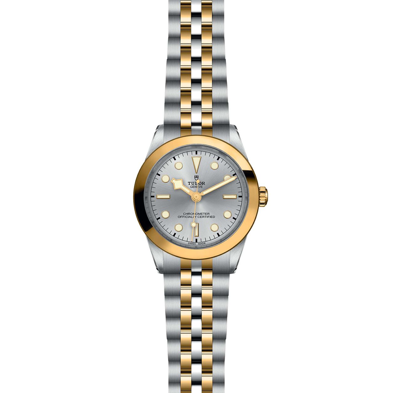 Tudor Black Bay 39 S&G M79663-0002 image number 1