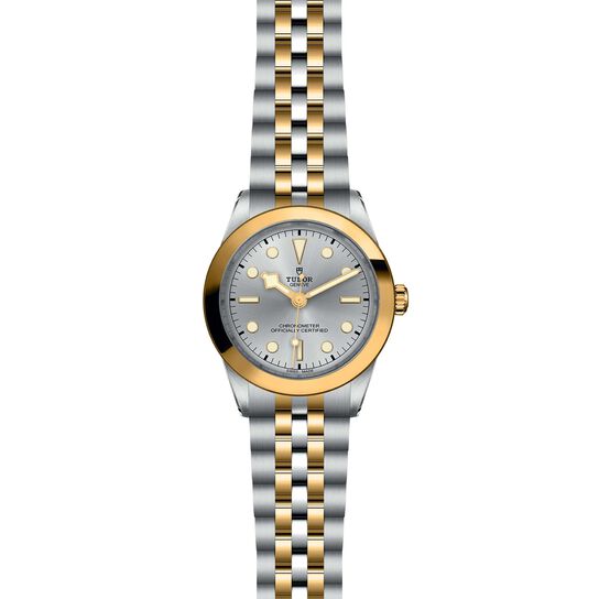 Tudor Black Bay 39 S&G M79663-0002 image number 1