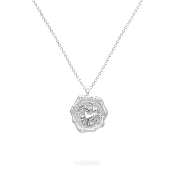 Zodiac Capricorn Pendant in Sterling Silver