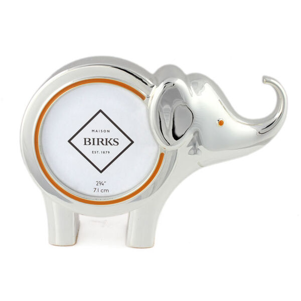 Elephant Frame