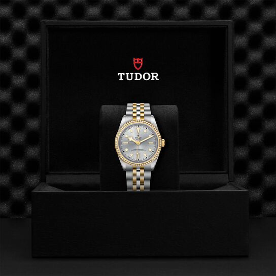 Tudor Black Bay 36 S&G M79653-0002 image number 4