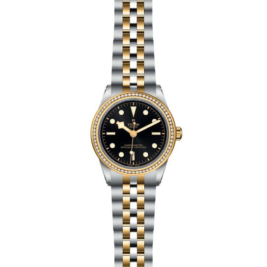 Tudor Black Bay 39 S&G M79673-0001 image number 1
