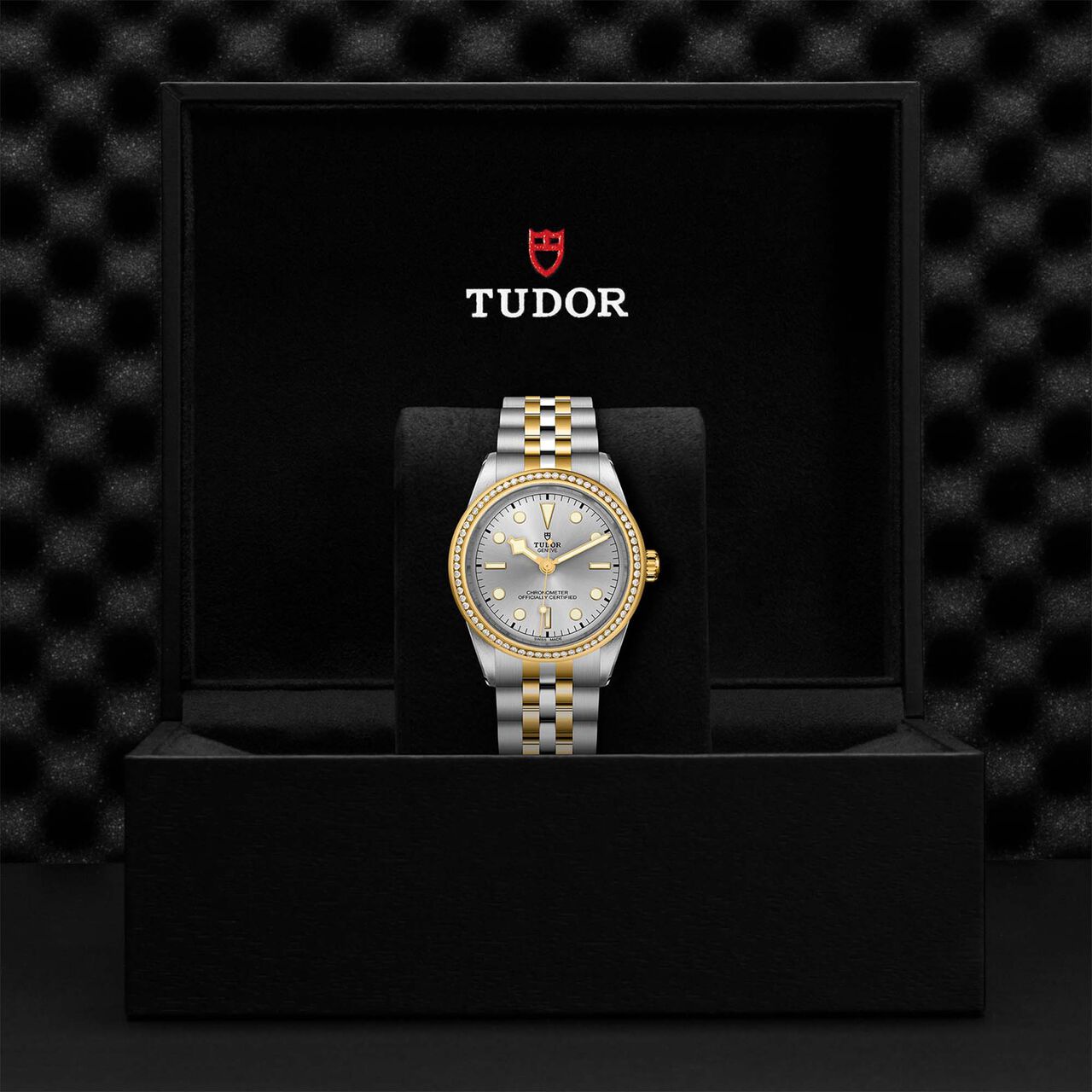 Tudor Black Bay 39 S&G M79673-0002 image number 4