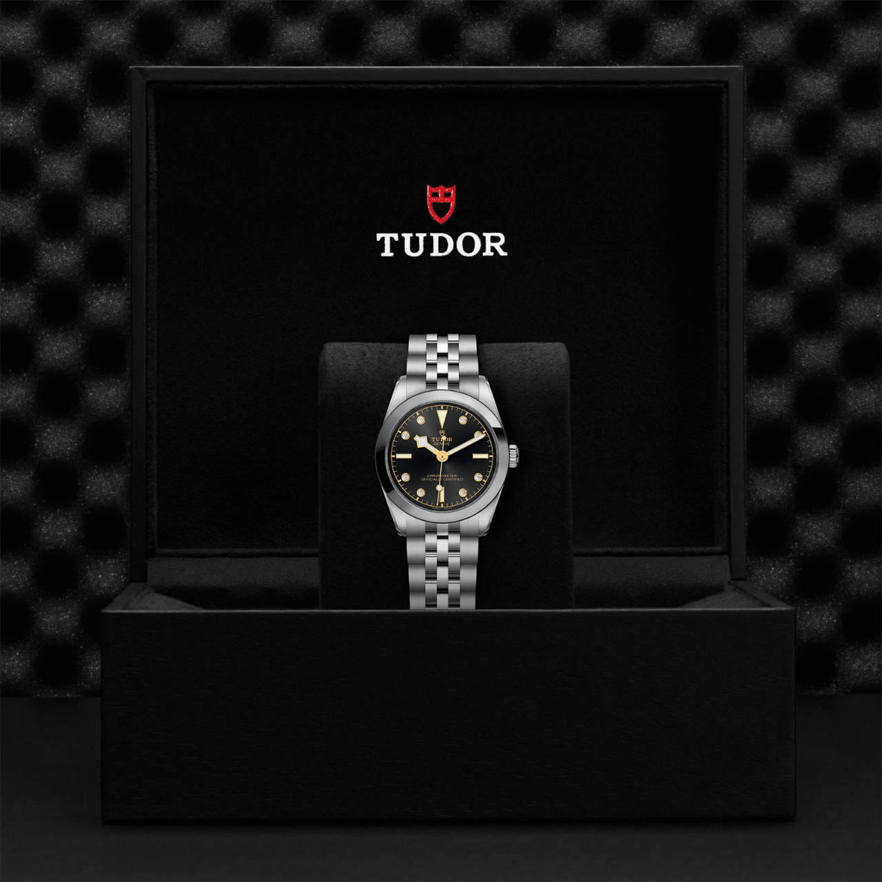 Tudor Black Bay 31 M79600-0004 Box image number 4