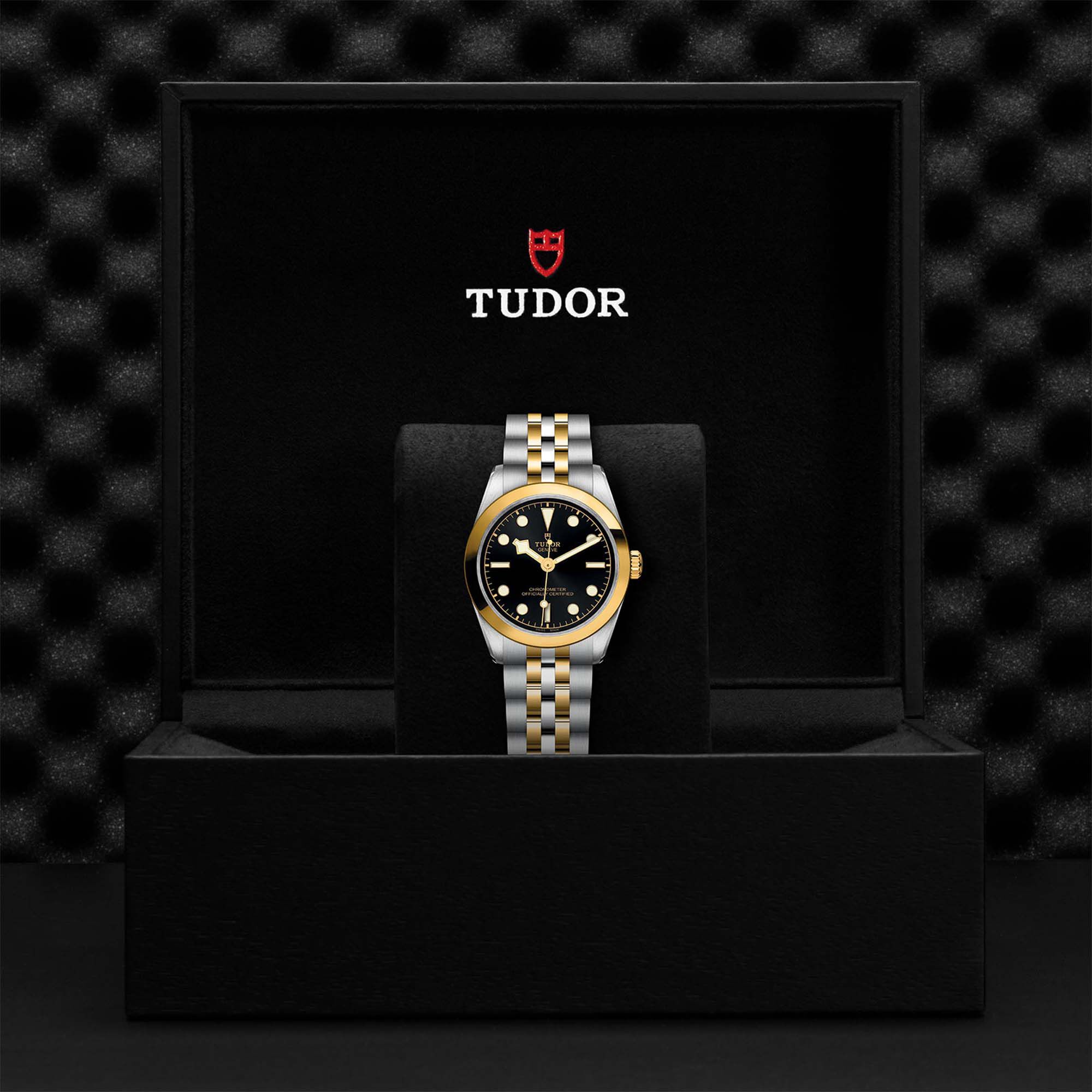 Black Bay One Automatic 31 mm Yellow Gold and Stainless Steel