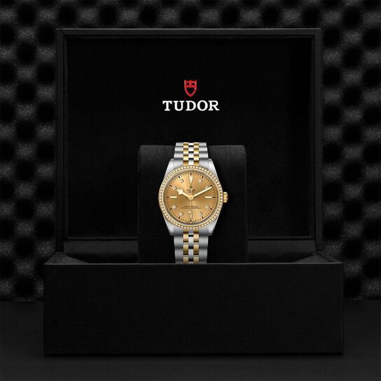Tudor Black Bay 36 S&G M79653-0007 Box image number 3