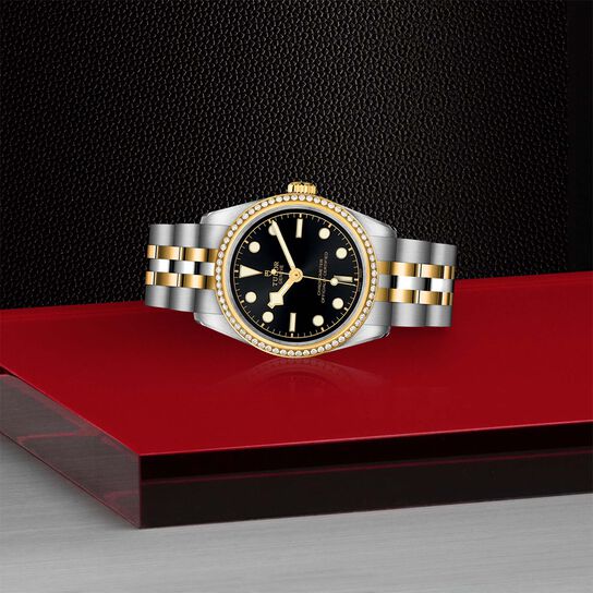 Tudor Black Bay 31 S&G M79613-0001 image number 3