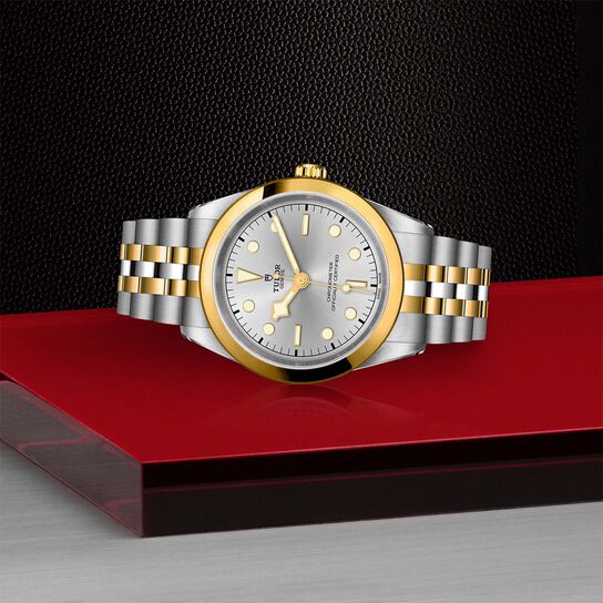 Tudor Black Bay 41 S&G M79683-0002 image number 3