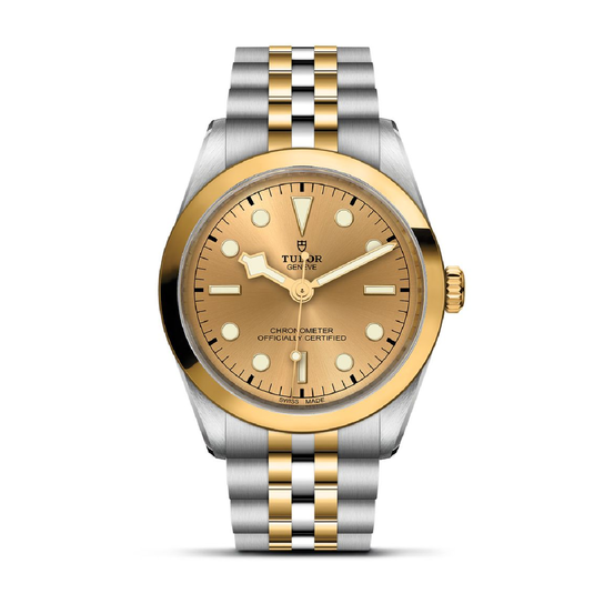 Tudor Black Bay 36 S&G M79643-0005 image number 0