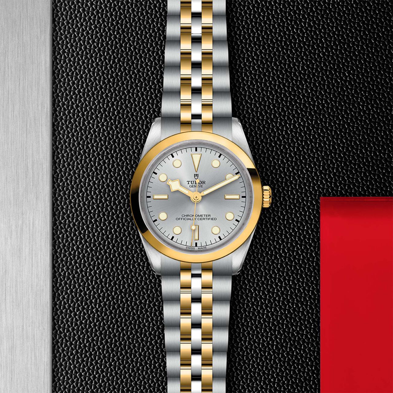 Tudor Black Bay 36 S&G M79643-0002 image number 2