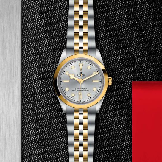 Tudor Black Bay 36 S&G M79643-0002 image number 2