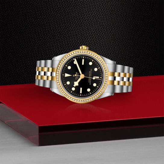 Tudor Black Bay 39 S&G M79673-0001 image number 3