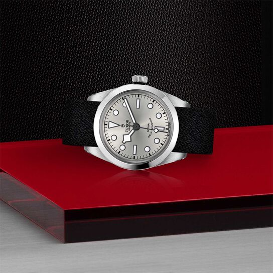 Tudor Black Bay 36 36MM Steel Case image number 3