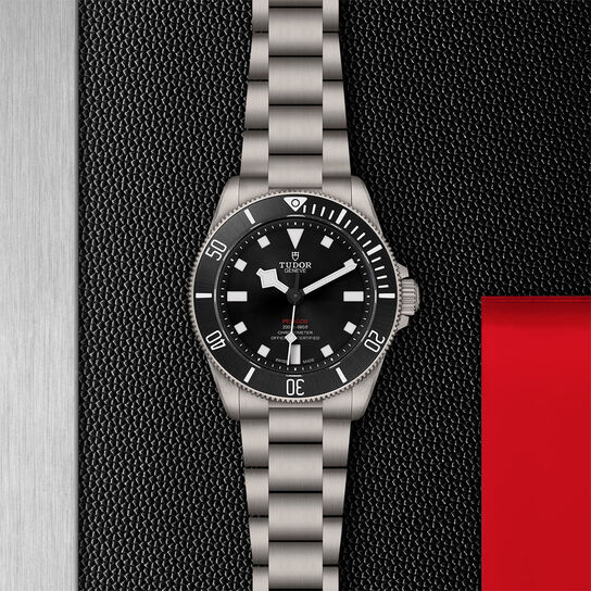 Tudor Pelagos M25407N-0001 Steel Bracelet image number 6