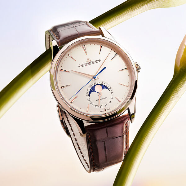 Master Ultra Thin Automatic Moon Phase 39 mm Rose Gold