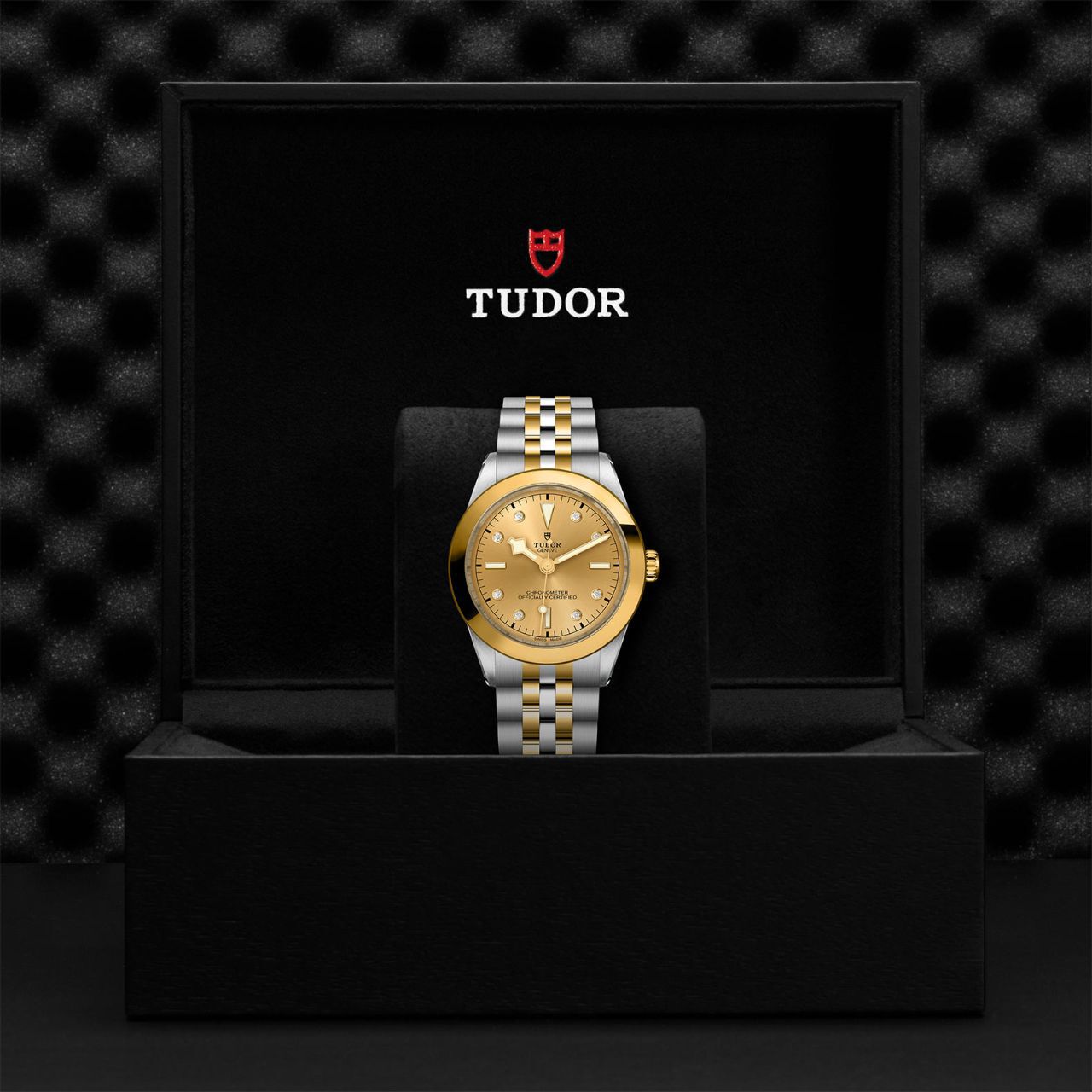 Tudor Black Bay 39 S&G M79663-0008 Box image number 3