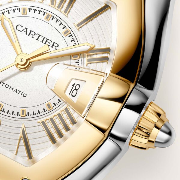 Roadster Large Automatic 47 X 39 mm Yellow Gold and Stainless Steel