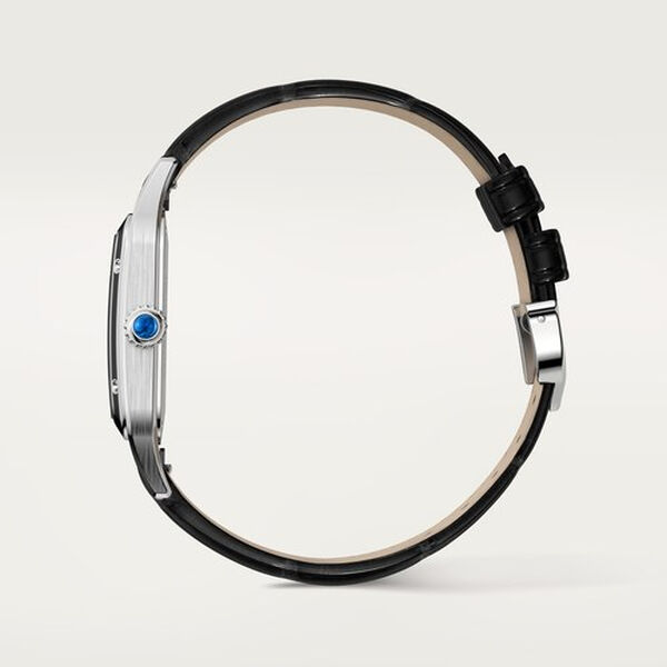 Santos-Dumont Large Manual 43 X 31 mm Stainless Steel