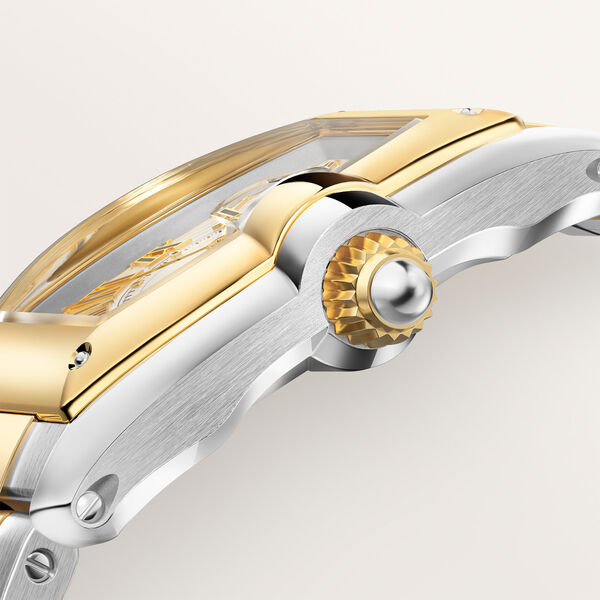 Roadster Large Automatic 47 X 39 mm Yellow Gold and Stainless Steel