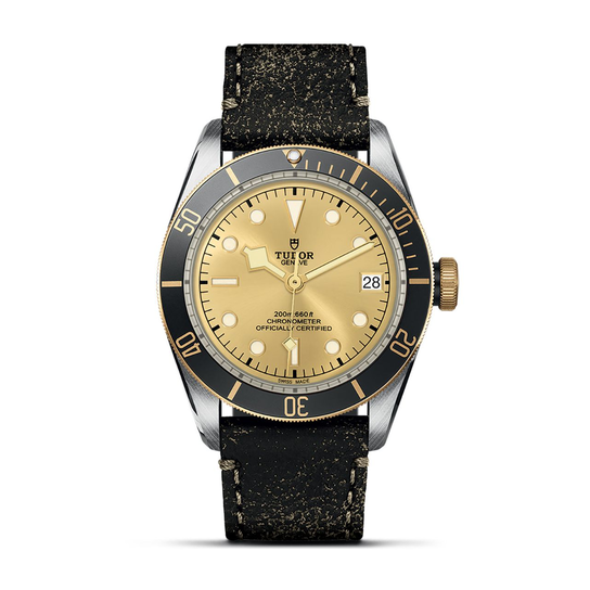 Tudor Black Bay S&G M79733N-0003 image number 0