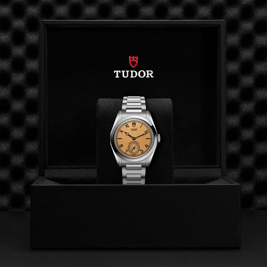 TUDOR Monarch Automatic 39 mm Stainless Steel image number 3
