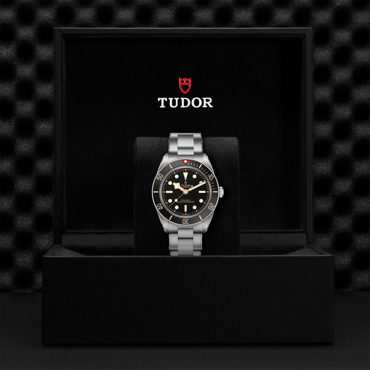 TUDOR Black Bay 58 Automatic 39 mm Stainless Steel image number 3