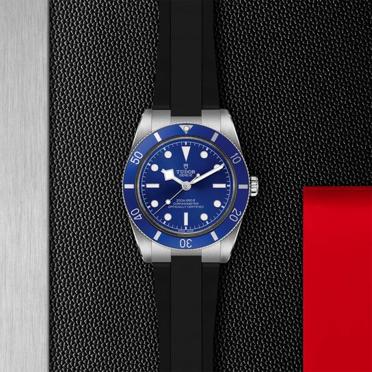 TUDOR Black Bay 54 Automatic 37 mm Stainless Steel image number 3