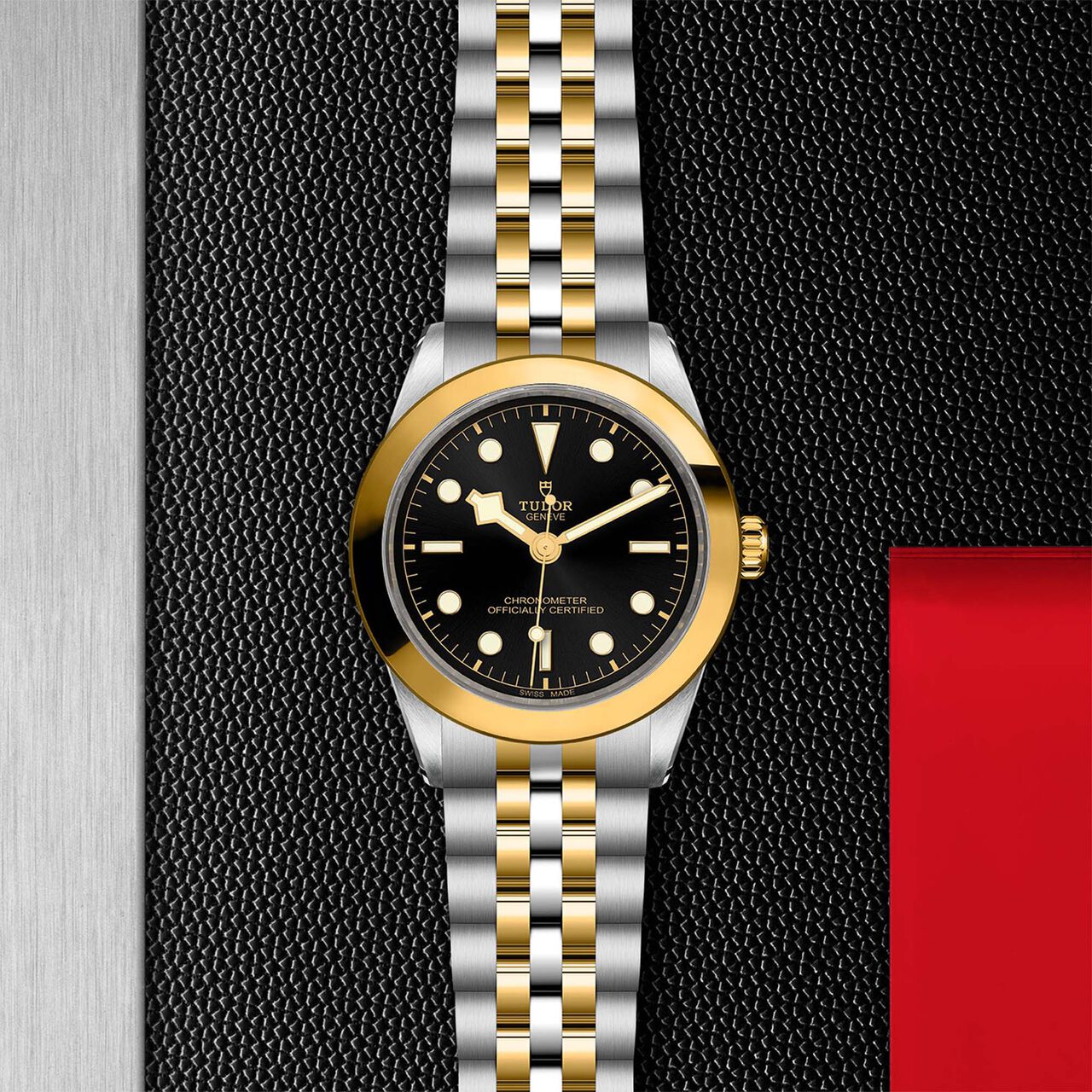 Tudor Black Bay 39 S&G M79663-0001 image number 2