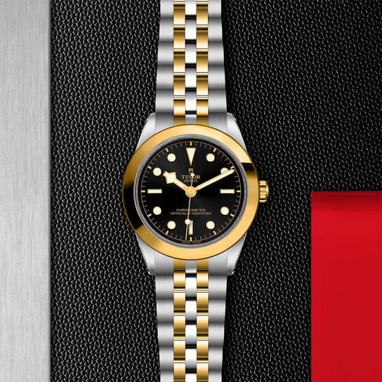 Tudor Black Bay 39 S&G M79663-0001 image number 2